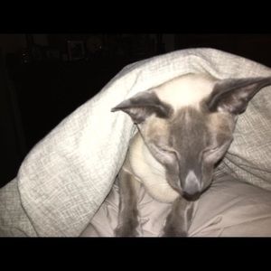 Meet your Posher, Ian